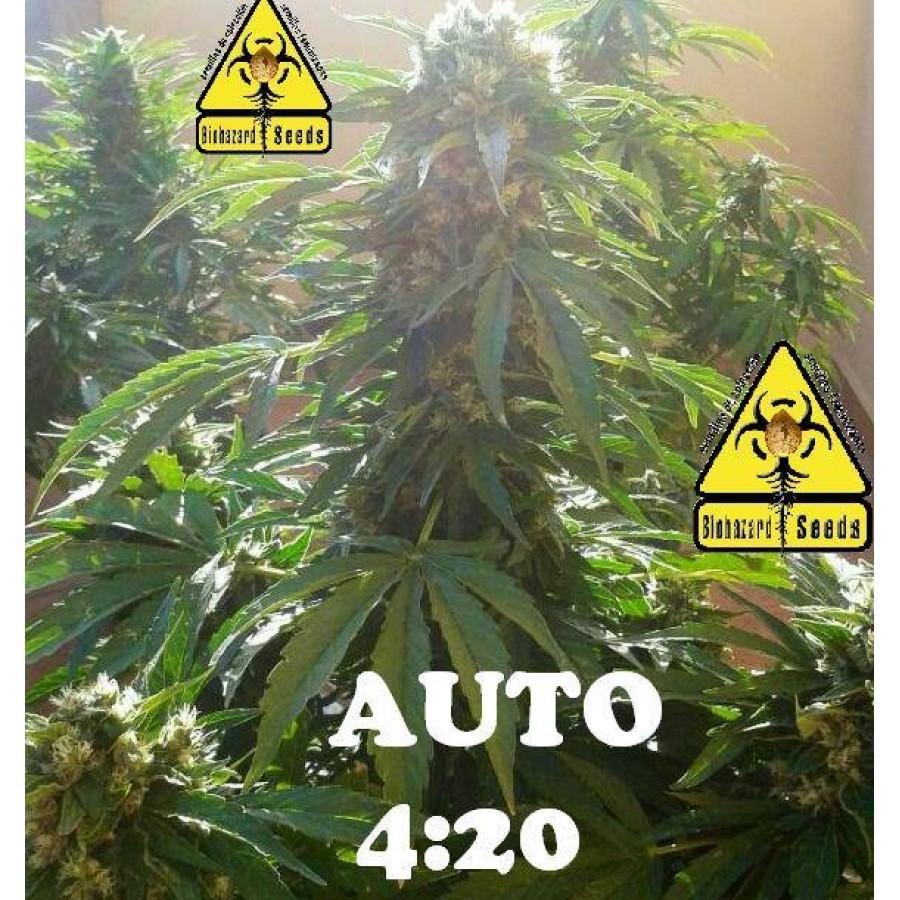 Biohazard Seeds - Auto 4:20 (auto/fem.)