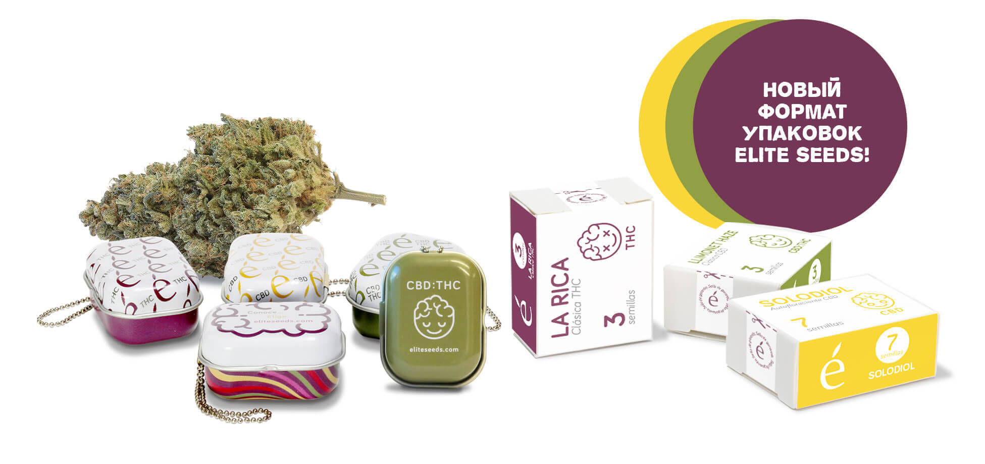 Elite Seeds - La Rica (fem.)