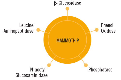 Mammoth P - микробы для развития марихуаны