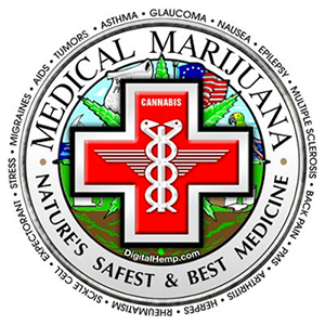 FastBuds - Northern Express (auto/fem.) FastBuds - Northern Express (auto/fem.)