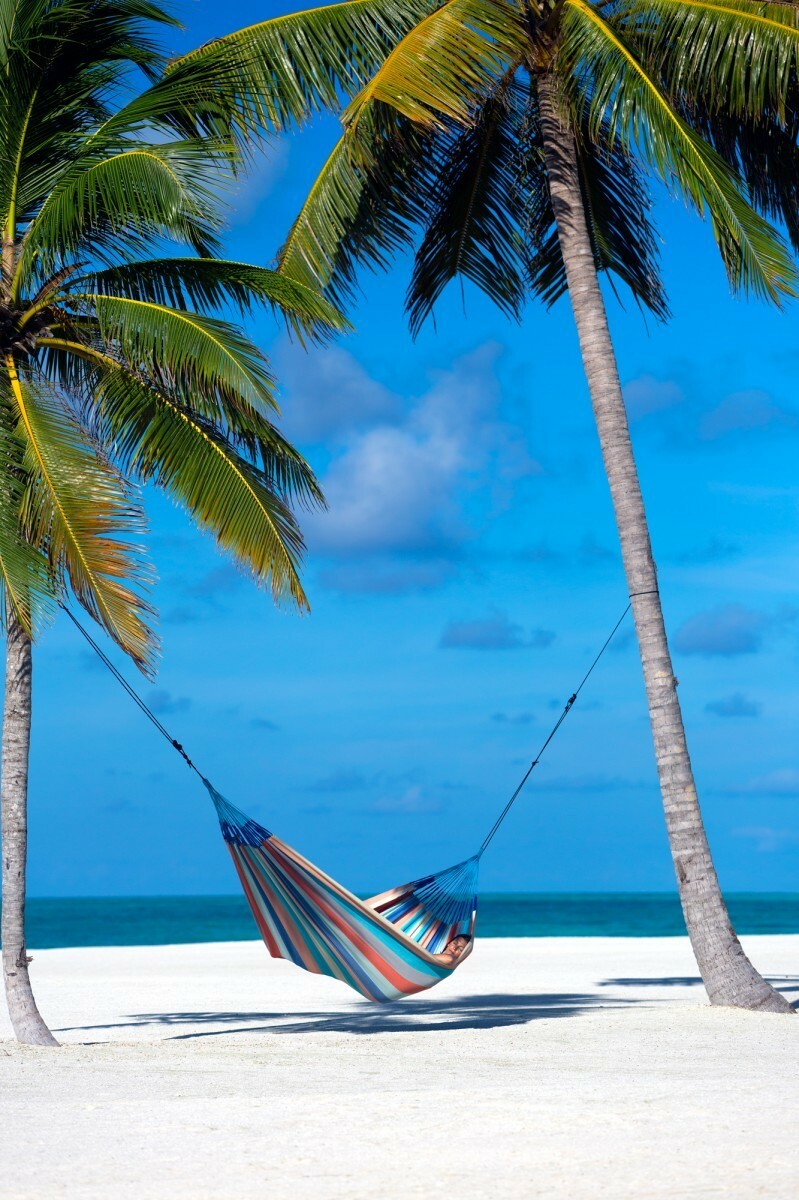 Гамак яркий семейный