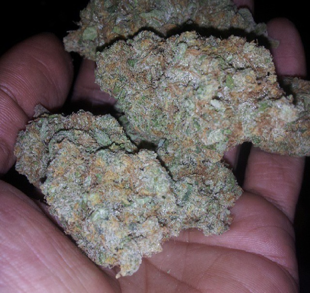 Loud Seeds - 7/8 Sour (reg.)
