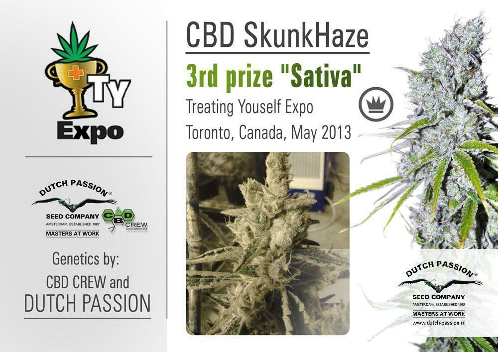 Dutch Passion - CBD Skunk Haze (fem.)