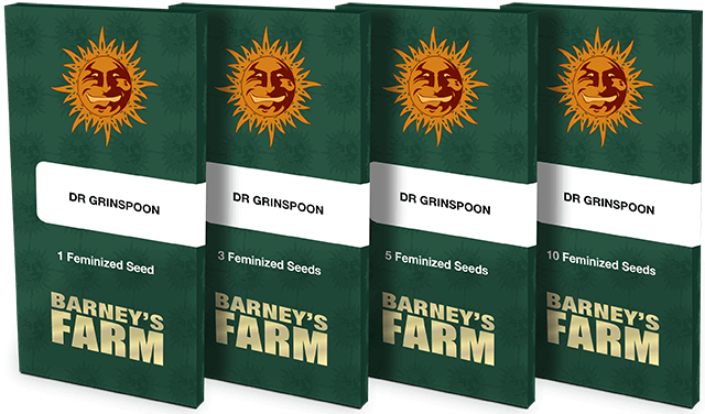 Barney's Farm - Dr. Grinspoon (fem.)