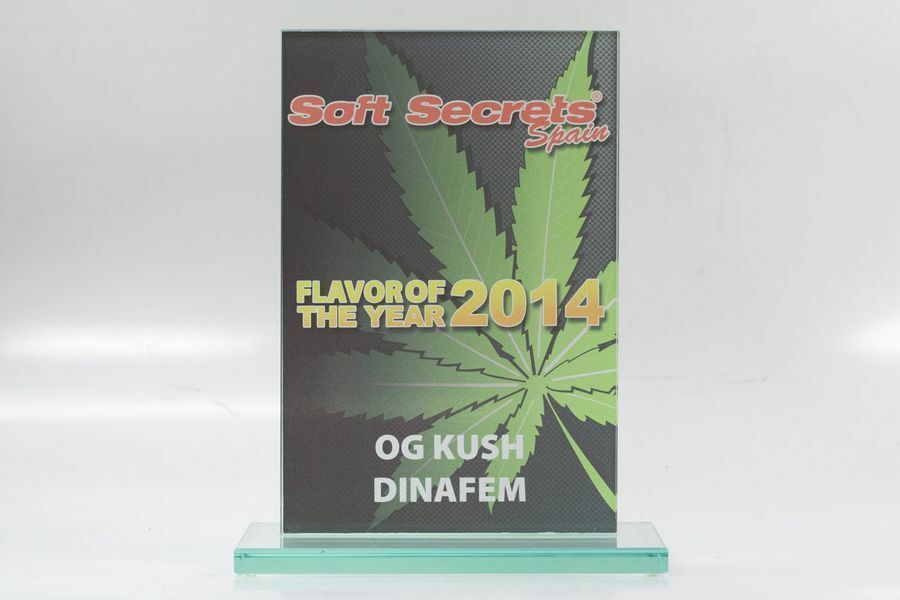 Dinafem - OG Kush (fem.)