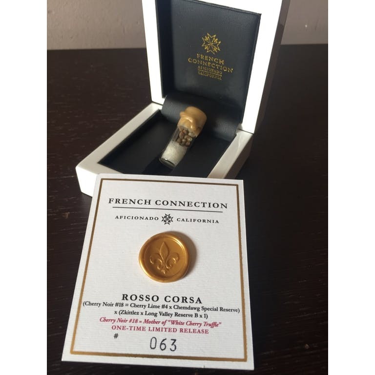 Aficionado French Connection - Rosso Corsa (reg.)