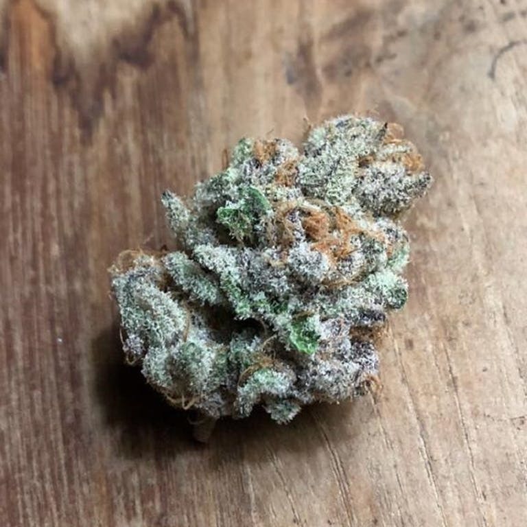 Aficionado French Connection - Sorbet à L’Orange (reg.)