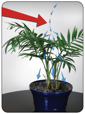 Углекислый газ для каннабиса Co2 Boost (комплект с распылителем)