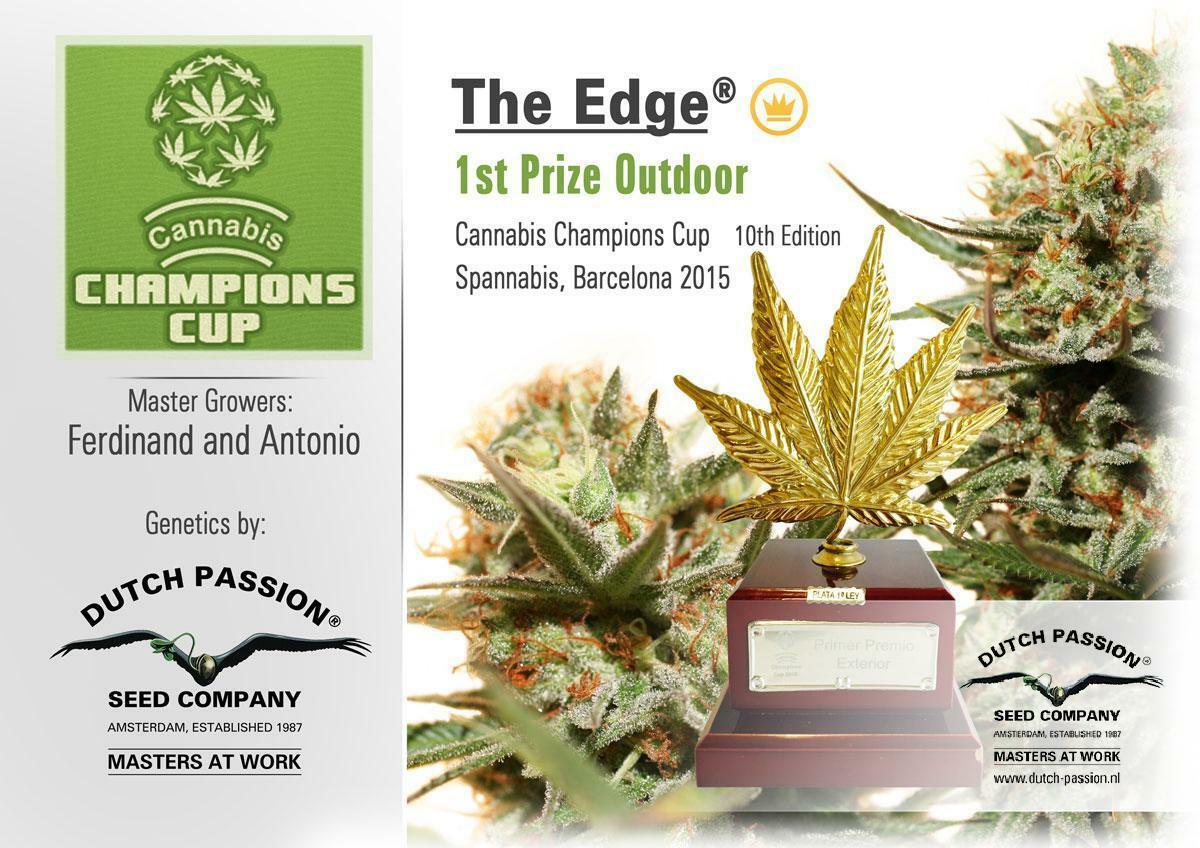 Dutch Passion - The Edge ® (fem.)