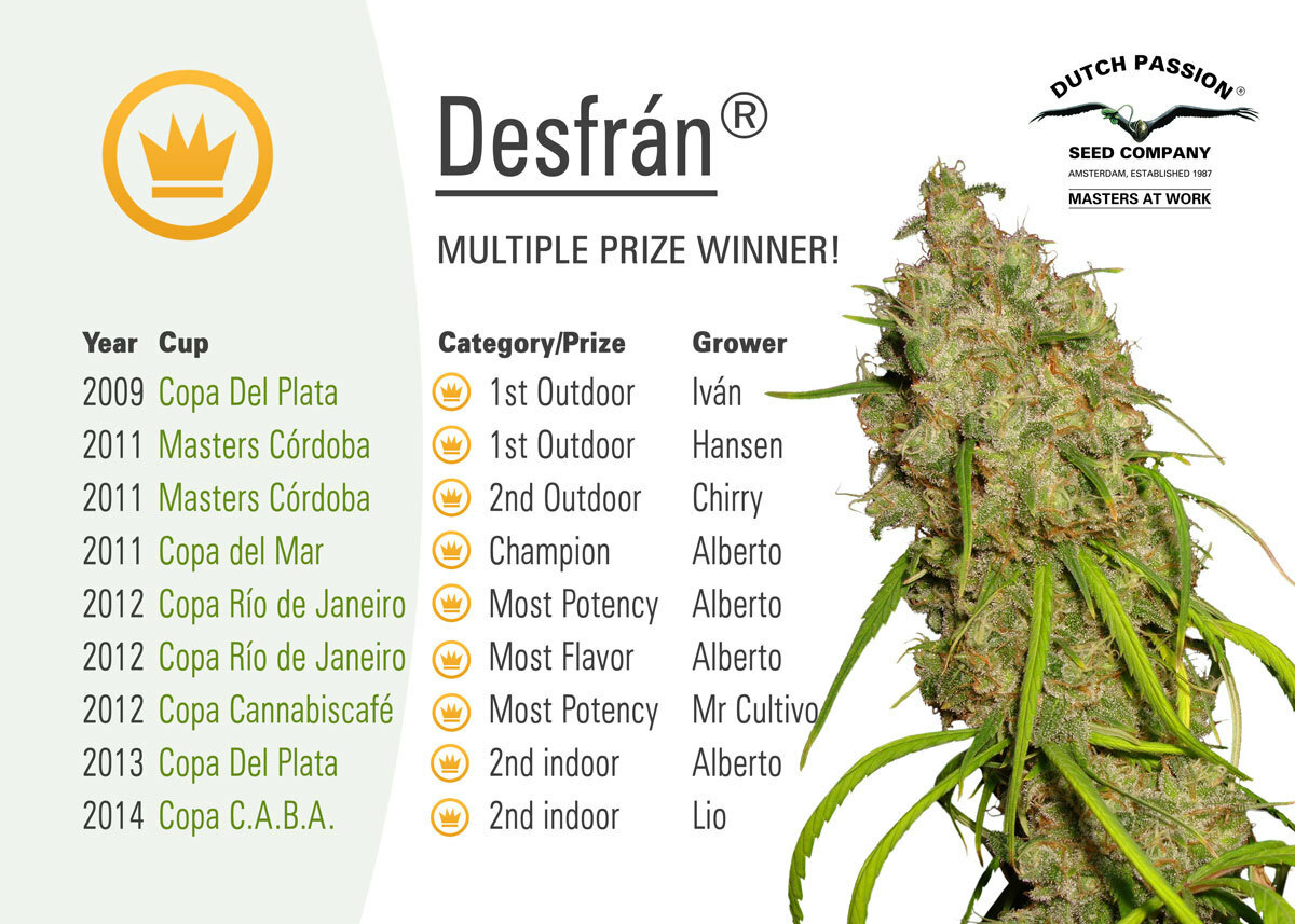 Dutch Passion - Desfran (fem.)
