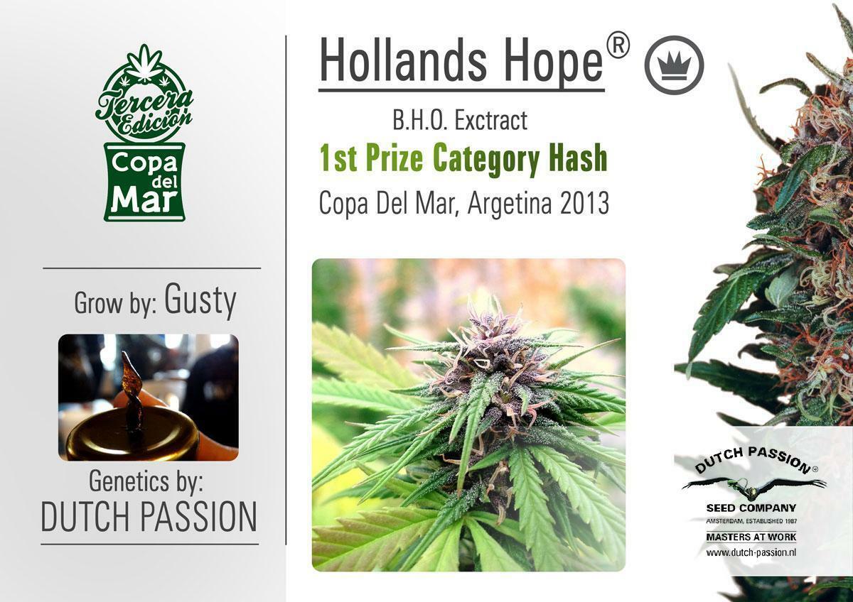 Dutch Passion - Hollands Hope (fem.)