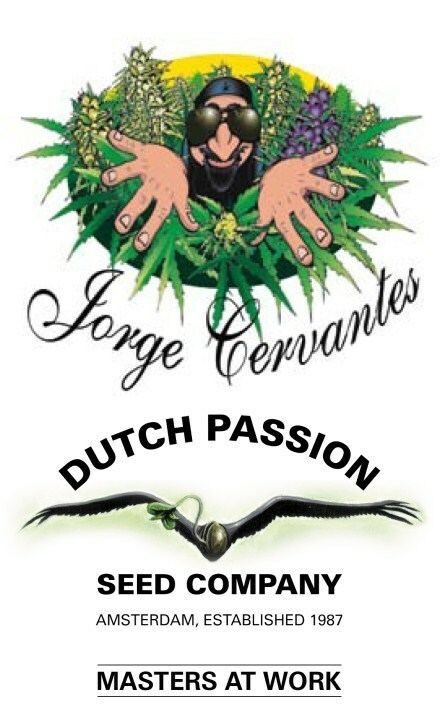 Dutch Passion - Jorge's Diamonds #1 (fem.)