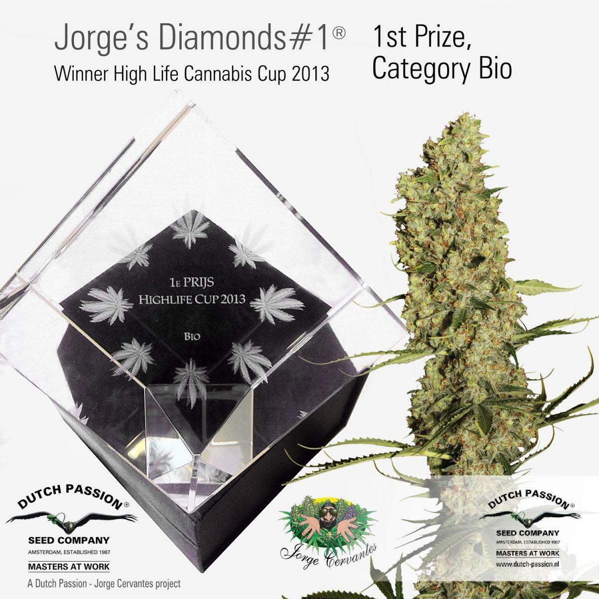 Dutch Passion - Jorge's Diamonds #1 (fem.)