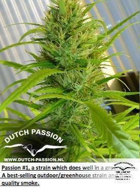 Passion