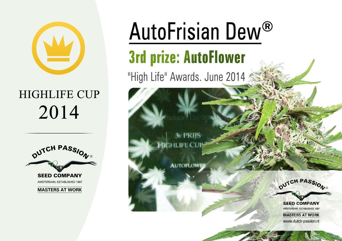 Dutch Passion - Auto Frisian Dew (auto/fem.)