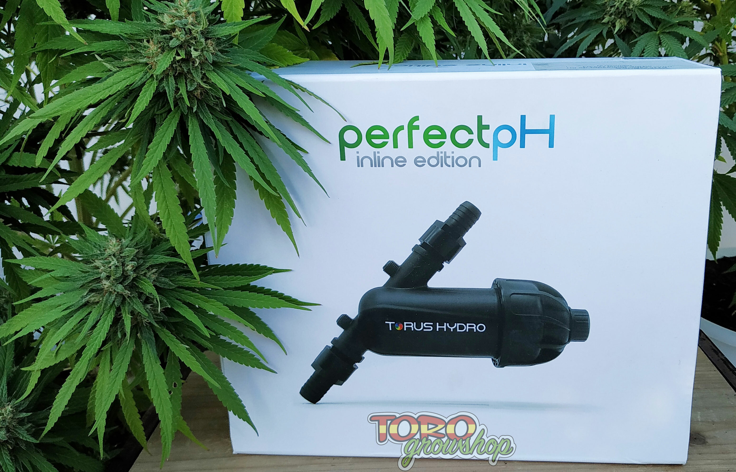 Torus Hydro perfect pH - автоматический регулятор pH