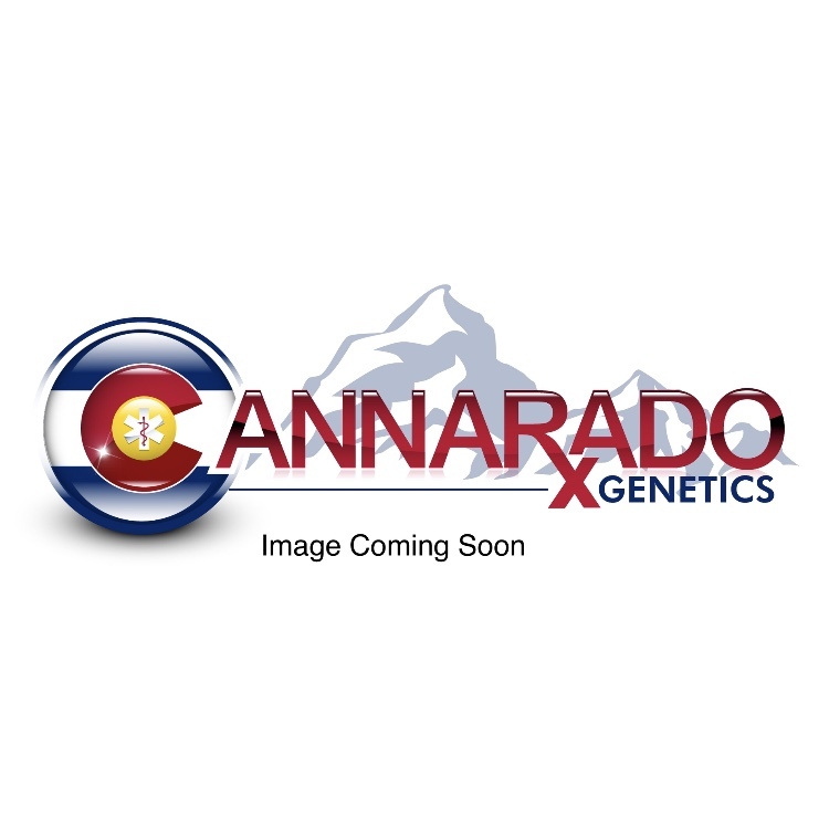 Cannarado Genetics - La Quinceanera (fem.)