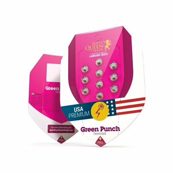 Royal Queen Seeds - Green Punch (fem.)