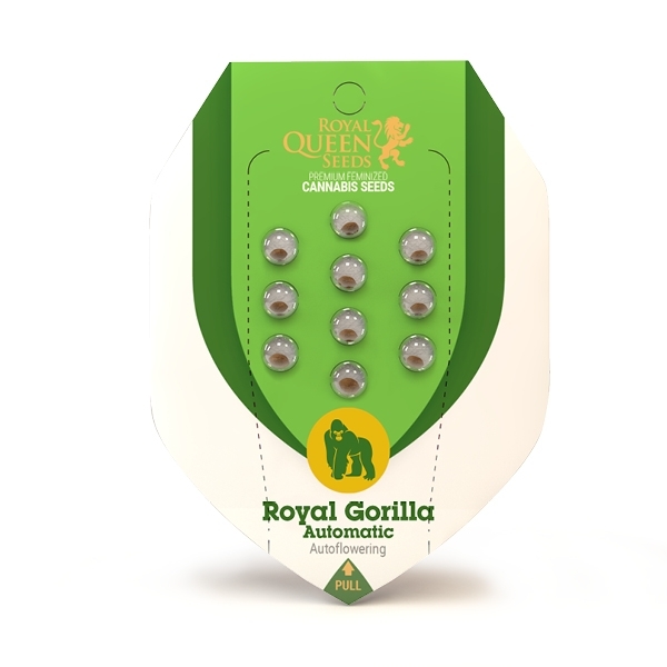 Royal Queen Seeds - Royal Gorilla Automatic (auto/fem.)
