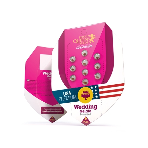 Royal Queen Seeds - Wedding Gelato (fem.)
