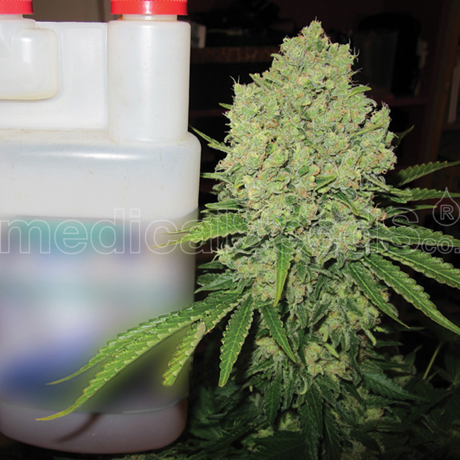 Medical Seeds - Prozack (fem.)