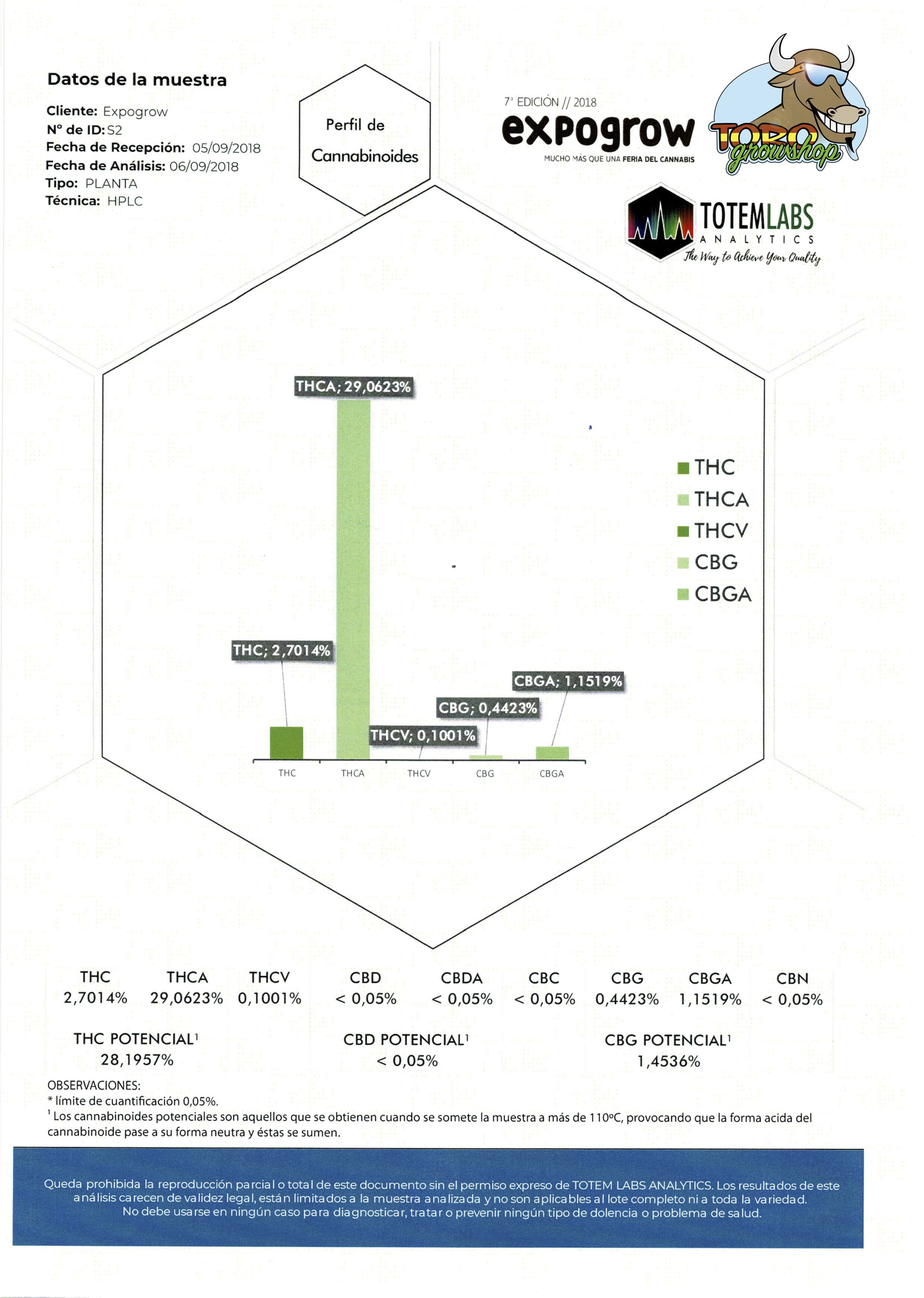Kannabia Seeds - Colombian Jack (fem.)