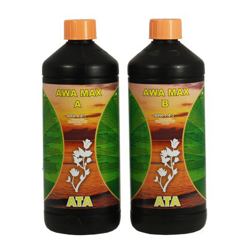 ATA Awa Max A+B