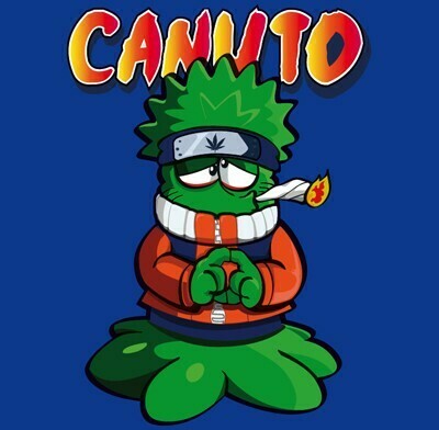 Футболка Los Cogollitos (Шишечки) - Canuto 06637
