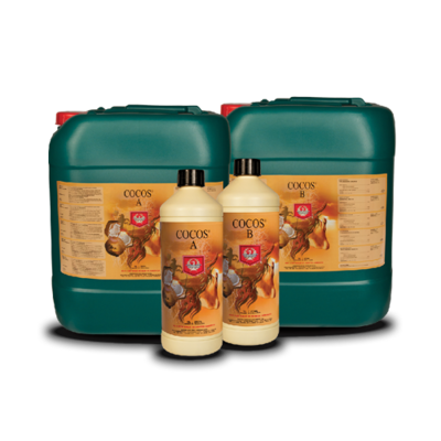 House & Garden - Cocos A and B 06706