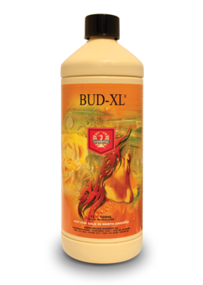 House & Garden - Bud-XL 06712
