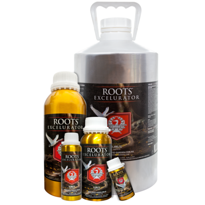 House & Garden - Roots Excelurator 06719