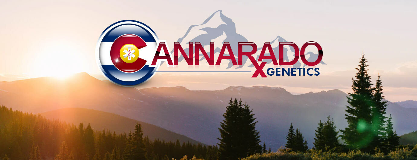 Cannarado Genetics - Sour Sundae (fem.)