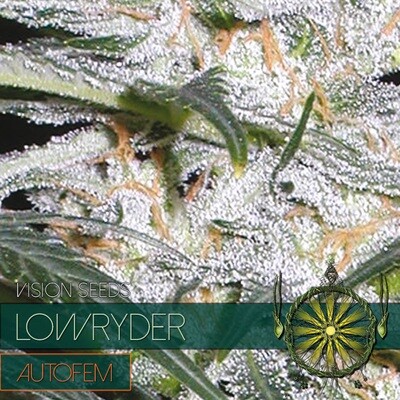 Vision Seeds - Lowryder Auto (auto/fem.) 01186