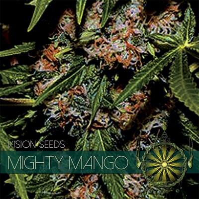 Vision Seeds - Mighty Mango Bud (fem.) 06741