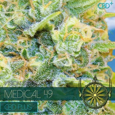 Vision Seeds - Medical 49 CBD+ (fem.) 03871