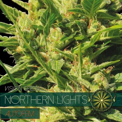 Vision Seeds - Northern Lights Auto (auto/fem.) 01187