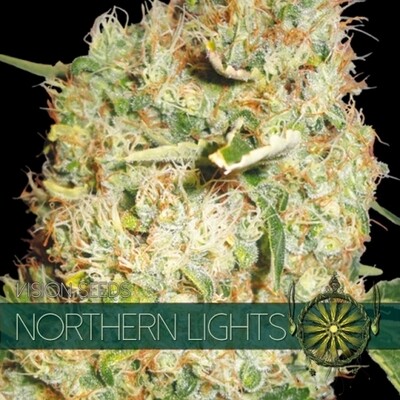 Vision Seeds - Northern Lights (fem.) 01188