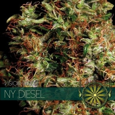 Vision Seeds - NY Diesel (fem.) 01189