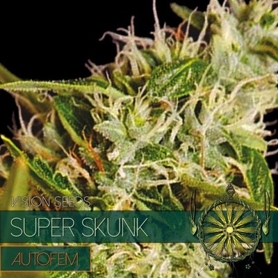 Vision Seeds - Super Skunk Auto (auto/fem.) 01175