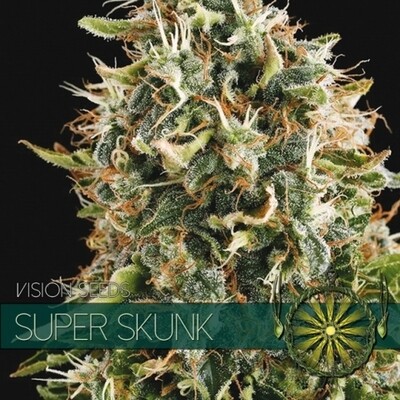 Vision Seeds - Super Skunk (fem.) 01176