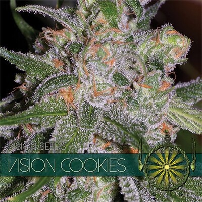 Vision Seeds - Vision Cookies (fem.) 06746