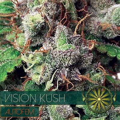 Vision Seeds - Vision Kush Auto (auto/fem.) 06752