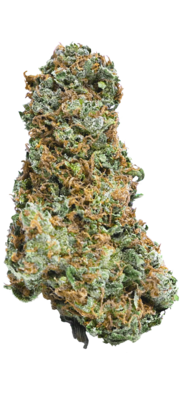Mega Buds - Big Bruce (fem.) 06799