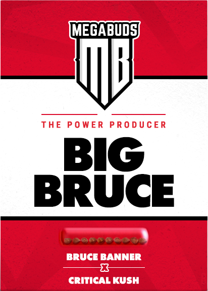 Mega Buds - Big Bruce (fem.)