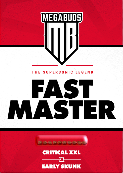 Mega Buds - Fast Master (fem.)