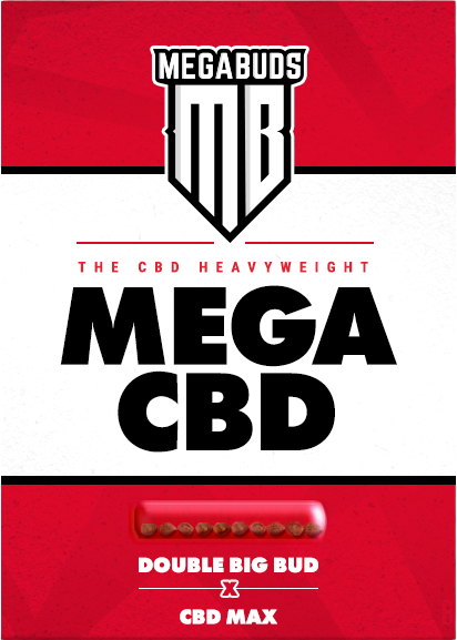 Mega Buds - Mega CBD (fem.)
