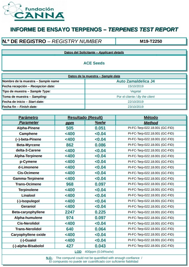 Ace Seeds - Auto Zamaldelica (auto/fem.)
