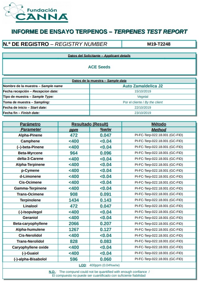Ace Seeds - Auto Zamaldelica (auto/fem.)