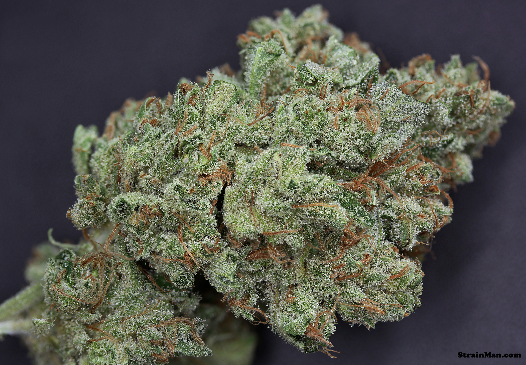 Rare Dankness - Ghost Train Haze #1 (reg.)