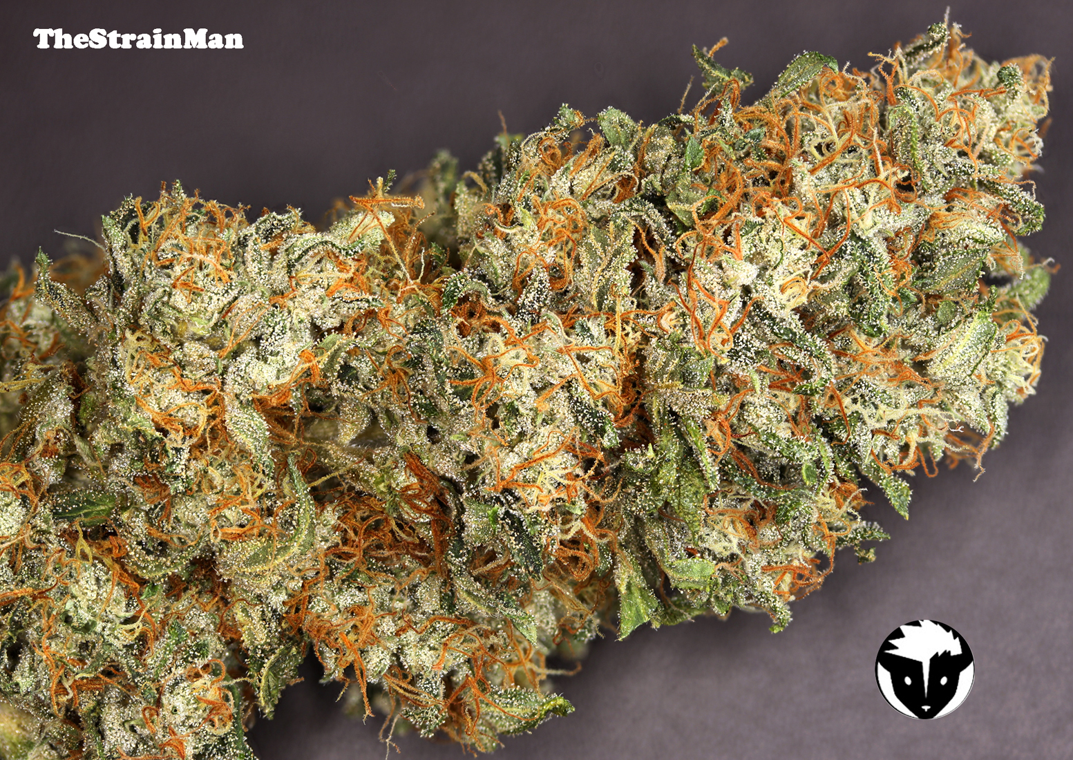 Rare Dankness - Star Killer (fem.)